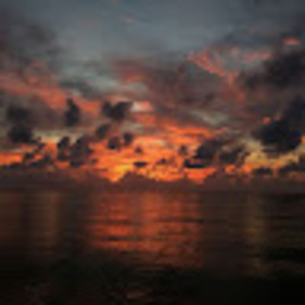 Meet your Posher, Alexia